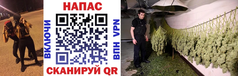 Купить наркотики цена Менделеевск Амфетамин Канабис Альфа ПВП ГАШ Меф Cocaine