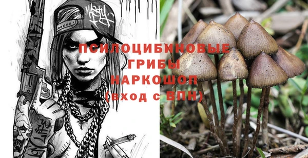 mdpv Алексеевка