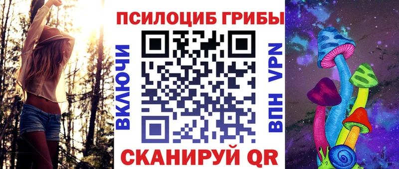 OMG   купить наркотики цена  Менделеевск  Галлюциногенные грибы Psilocybine cubensis 