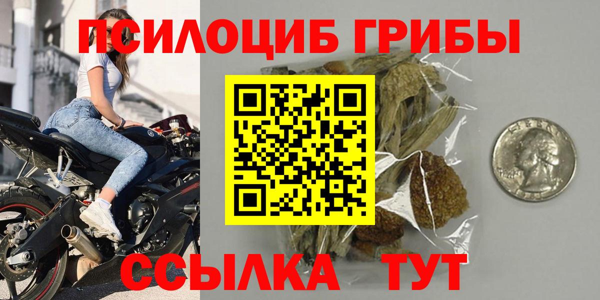 закладки  Вход с VPN  Менделеевск  Галлюциногенные грибы Psilocybe  Псилоцибиновые грибы мухоморы 