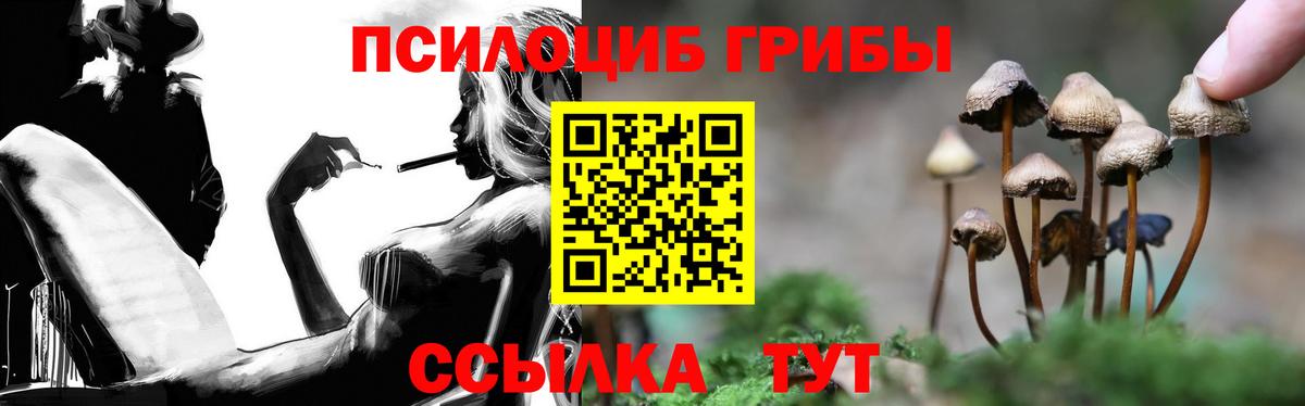 Галлюциногенные грибы Psilocybine cubensis Менделеевск