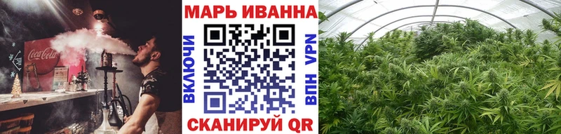 Конопля гибрид Менделеевск