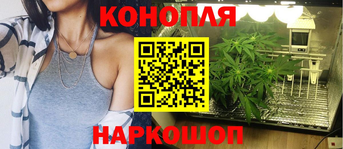 Шишки марихуана конопля  Конопля семена  Марихуана индика  Менделеевск  Вход с VPN  Каннабис ГИДРОПОН 